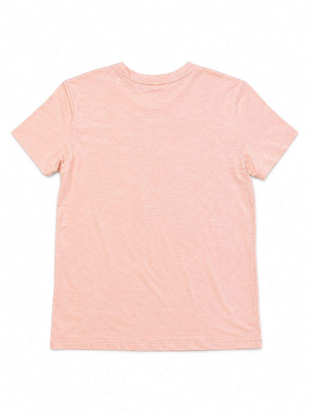 Tortoise & Hare Classic Fit Tee – Women's – Peachy Keen