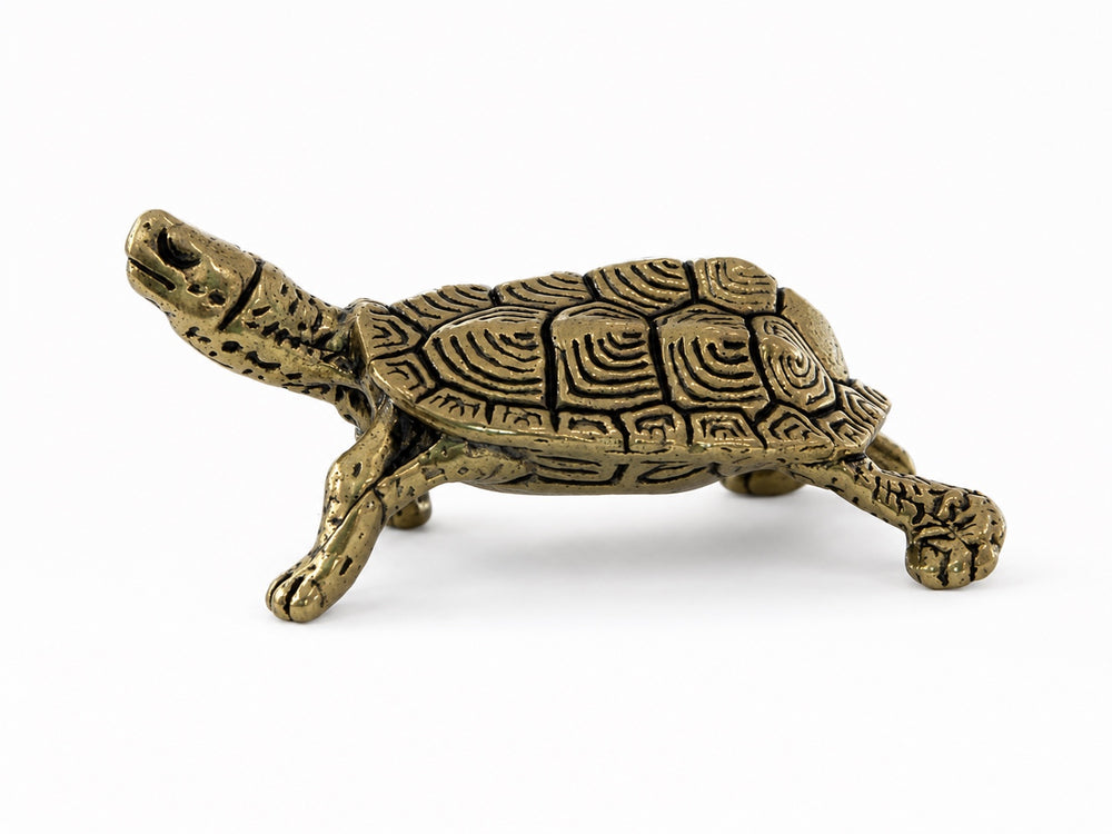 Tortoise & Hare Turtle Figurine