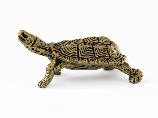 Tortoise &amp; Hare Turtle Figurine