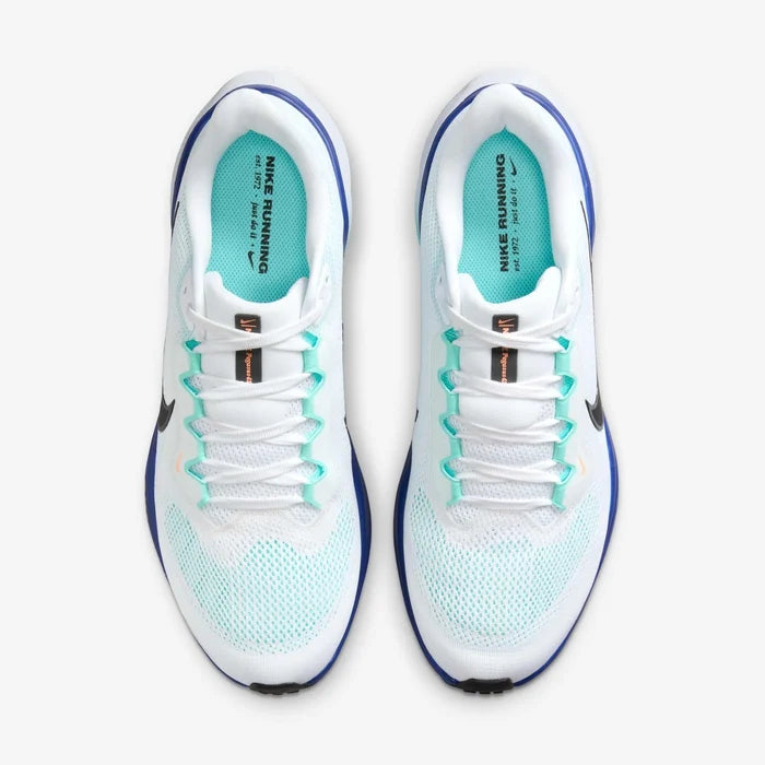 Nike Pegasus 41 – Men's